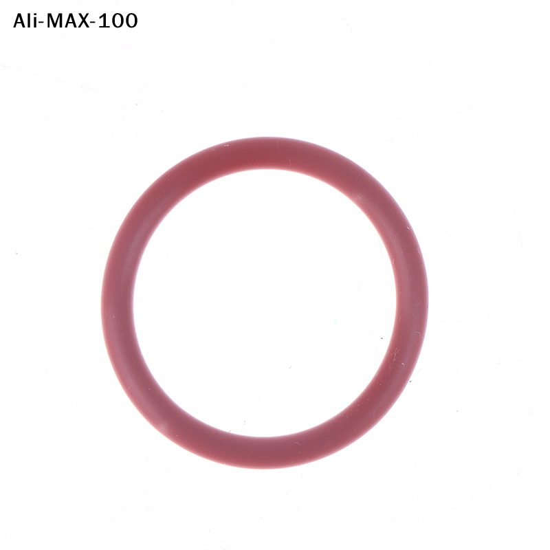 【Sv】30Pcs 2026 O-ring Seal Kit - Kitchen Appliances Outlet のレビューと価格